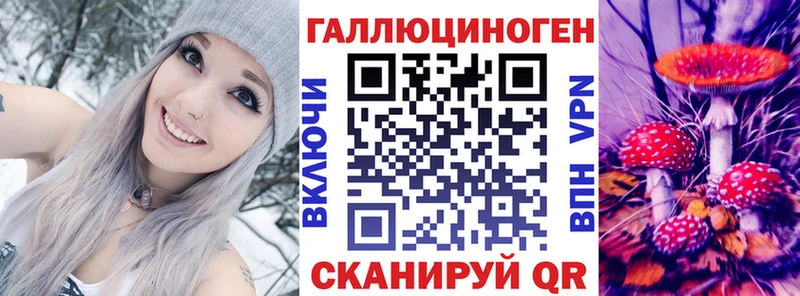 Галлюциногенные грибы Psilocybine cubensis  магазин    Дальнереченск 